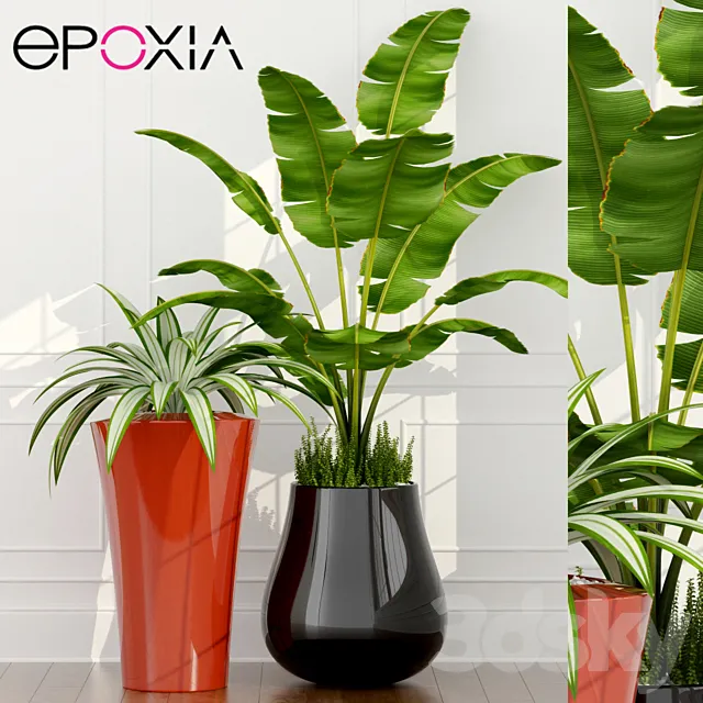 epoxia planters 3ds Max