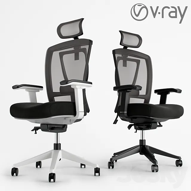 Ergo Office Chair 3ds Max