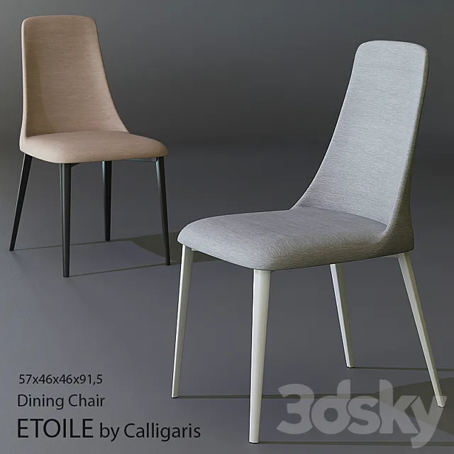 ETOILE 3DS Max Model