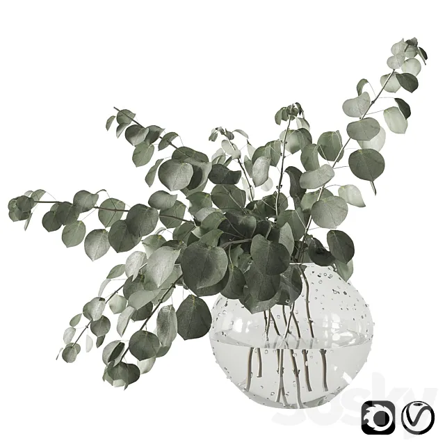 Eucalyptus bouquet 3DS Max Model