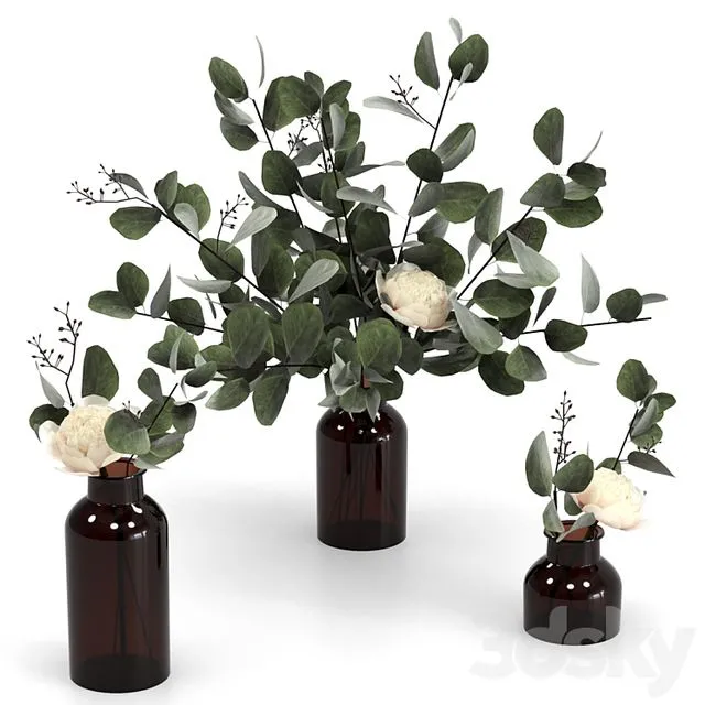 Eucalyptus bouquets 3dsMax Model