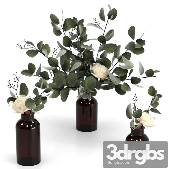 Eucalyptus Bouquets 4 3dsmax Download