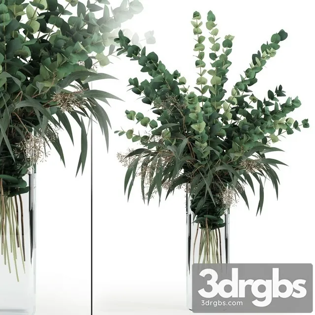 Eucalyptus in Tall Vase 3dsmax Download