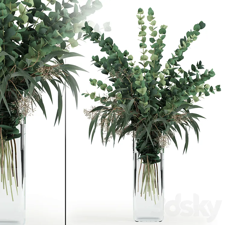 Eucalyptus in tall vase 3DS Max