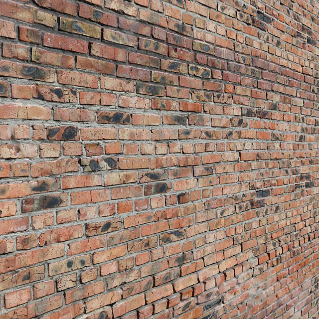 Facing brick _4 3DS Max Model