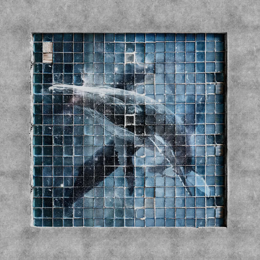 Factura – Blue whale 3ds Max