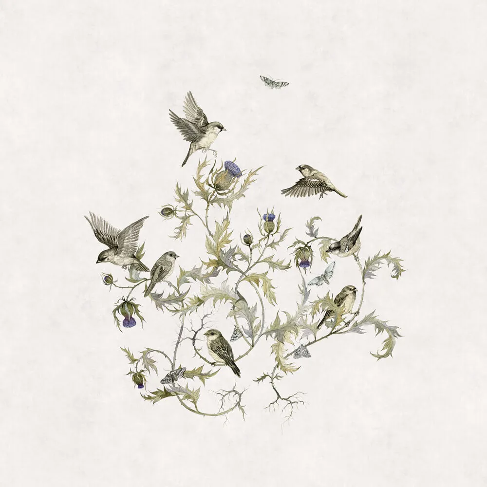 Factura – Vivaldi 3ds Max