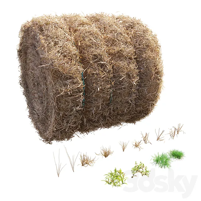 Farm field with hay bale 3 3dsMax Model