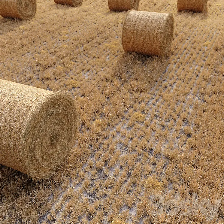 Farm field with hay bale 3DS Max
