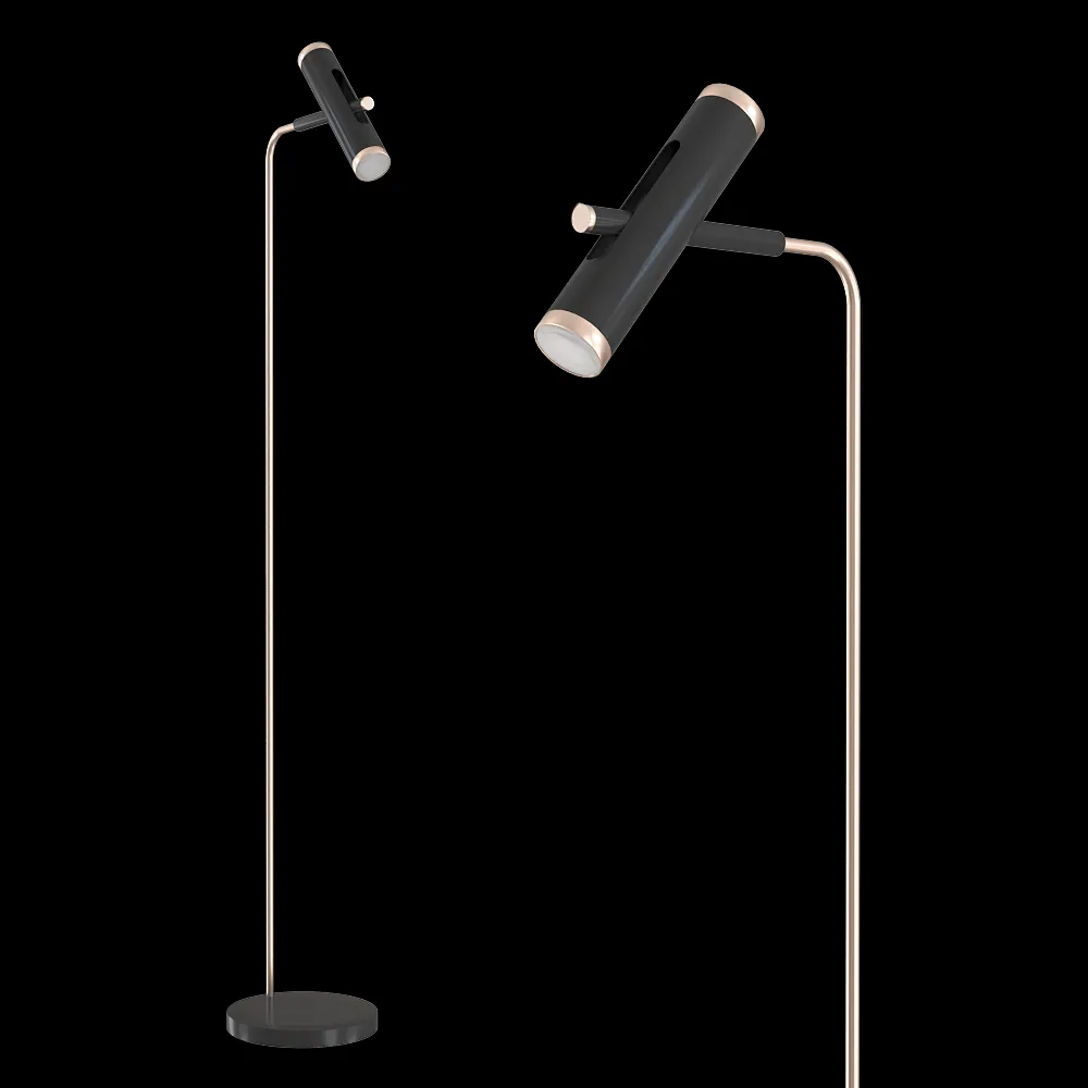 FAVOURITE – Floor lamp Duplex 2324-2F 3ds Max