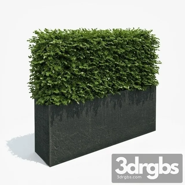 Fence Potted Plants 3dsmax Download