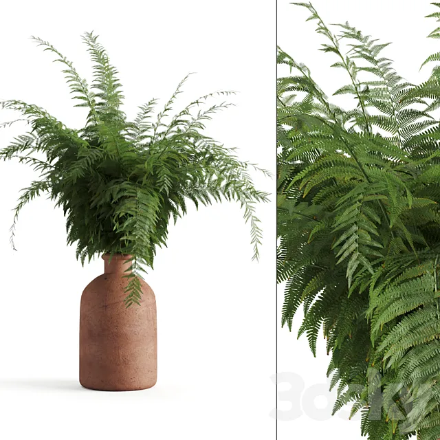 Fern in a clay vase 3DSMax File