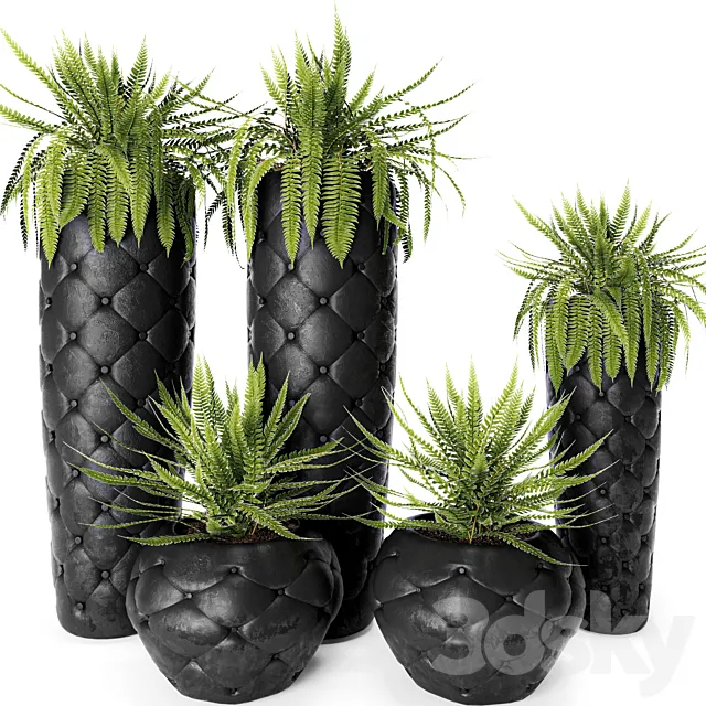 FERN + POTS Fleur Ami luxury flower pot flowerpot fern 3DS Max Model