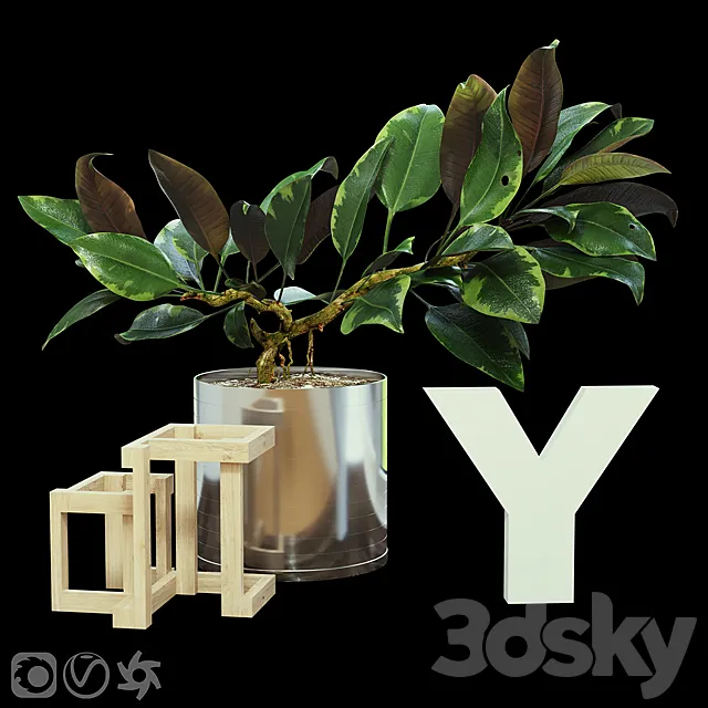 Ficus 3ds Max