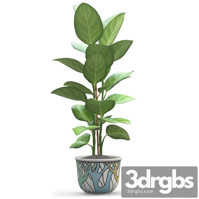 Ficus Andrey 1 3dsmax Download