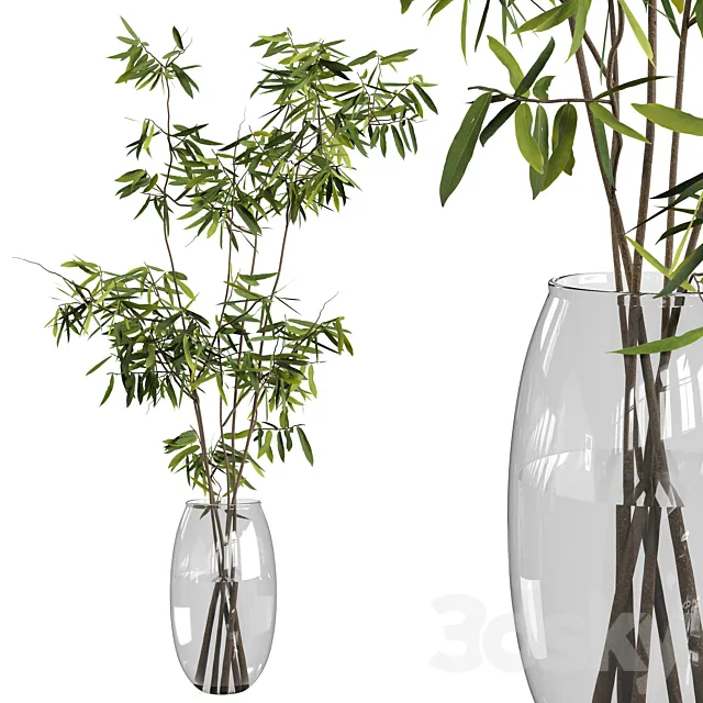 Ficus branches bouquet set 01 3DSMax File