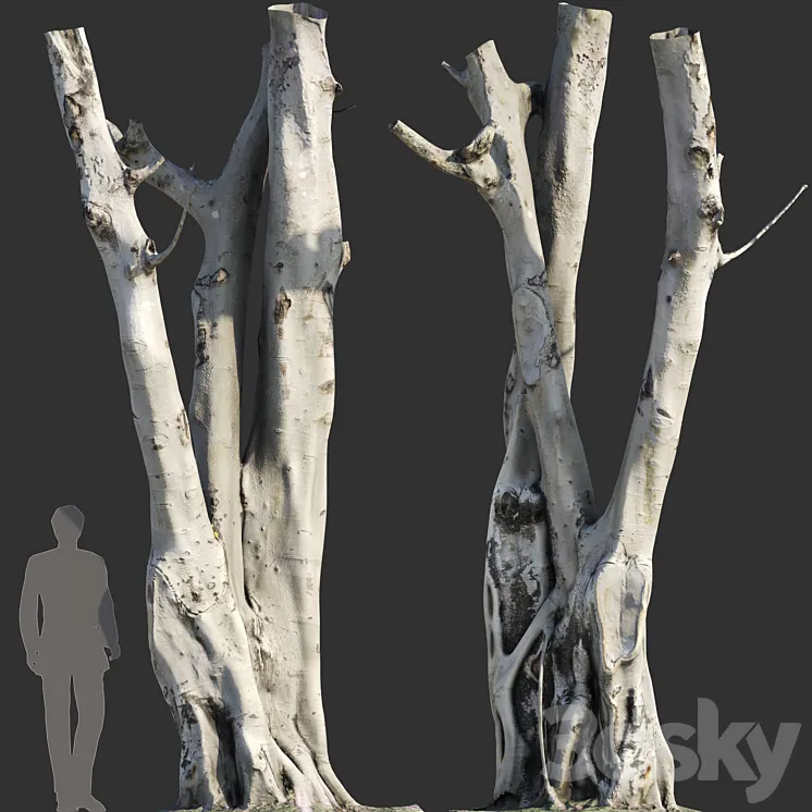 Ficus religiosa Tree Trunk 3DS Max Model