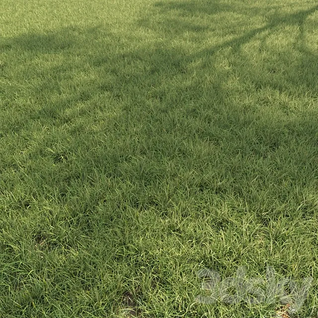 Field grass 02 3ds Max