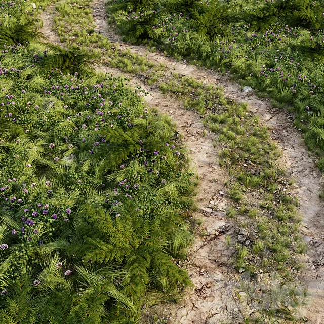 Field road 3DS Max Model