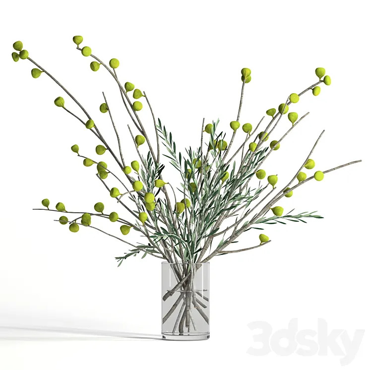 Fig and olive branches 3DS Max Model