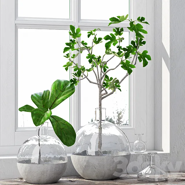 Fig Plants 1 3DSMax File