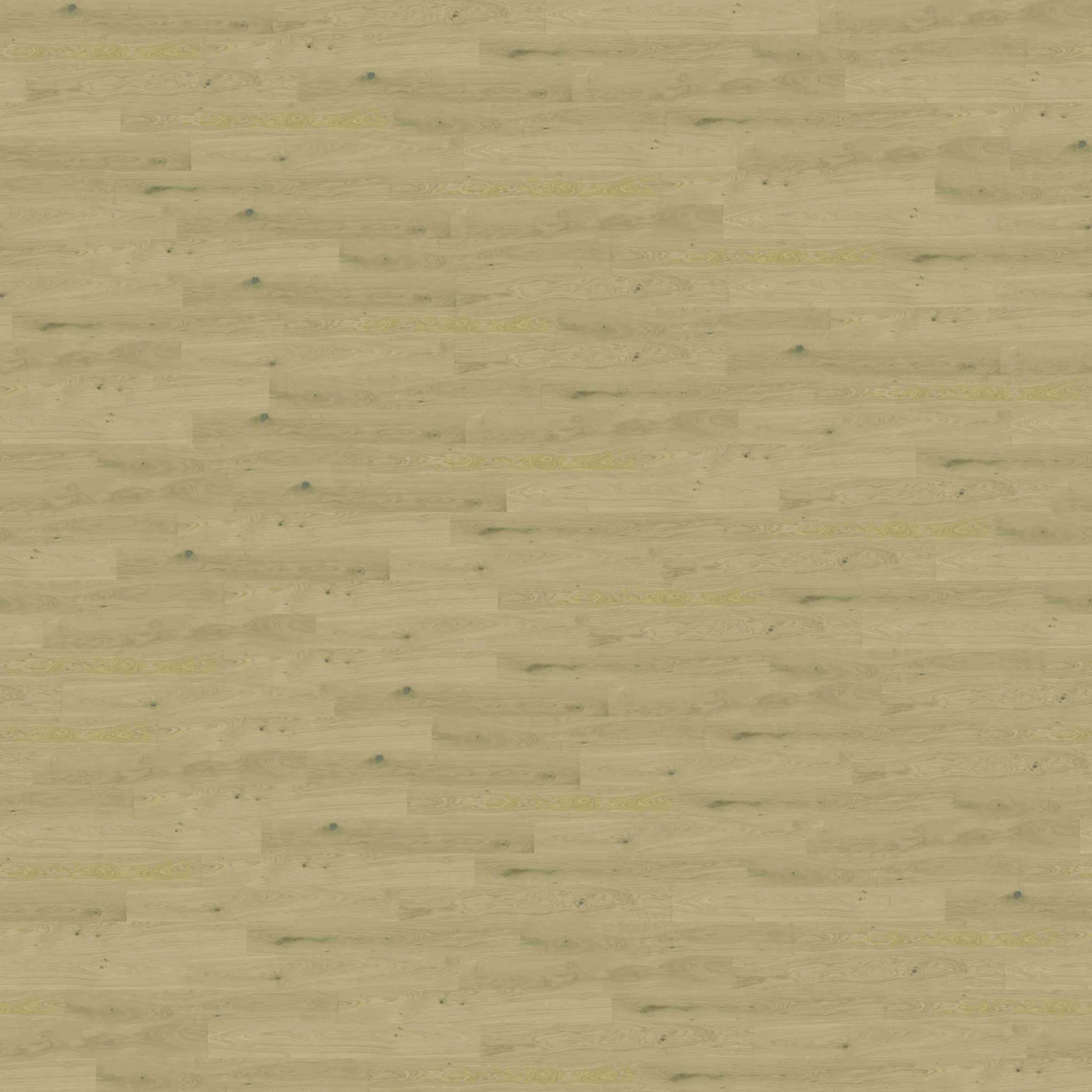 Finishparkiet – Floor covering Bleached Oak Nature oil-wax 3ds Max