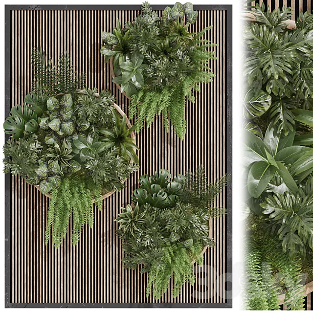 Fitowall garden plants set 23 3ds Max