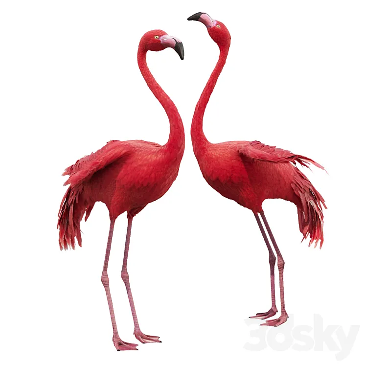 Flamingo-model 3DS Max