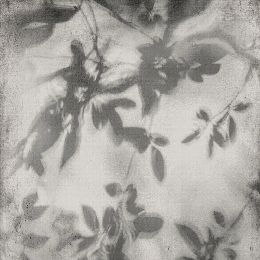 Flaviker – Porcelain slabs Shadow 3ds Max