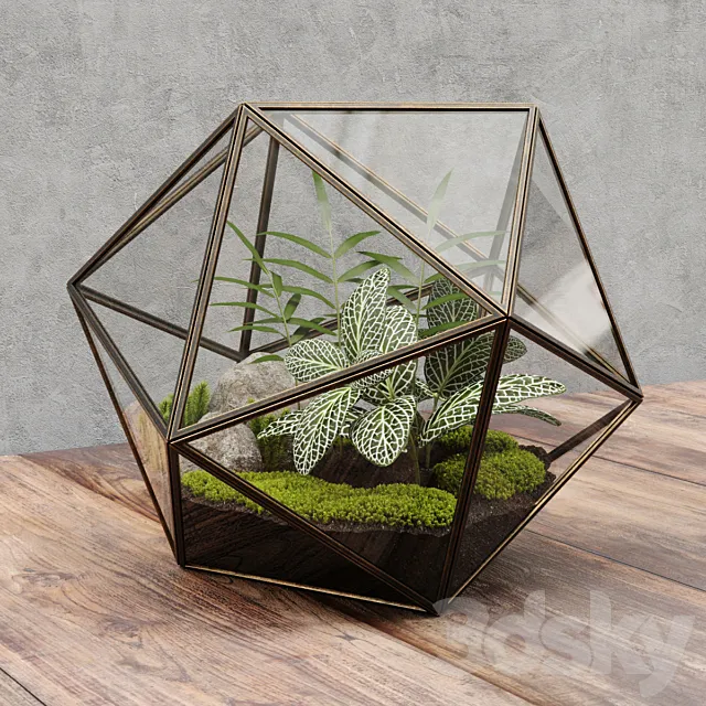 Florarium icosahedron 3DSMax File