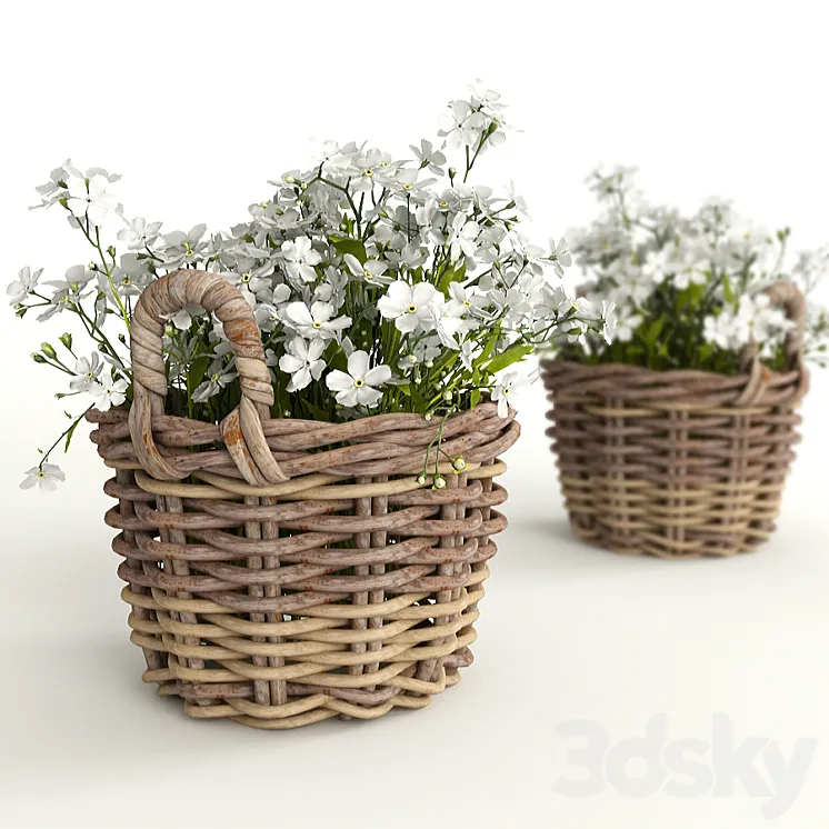 Flower baskets 3DS Max
