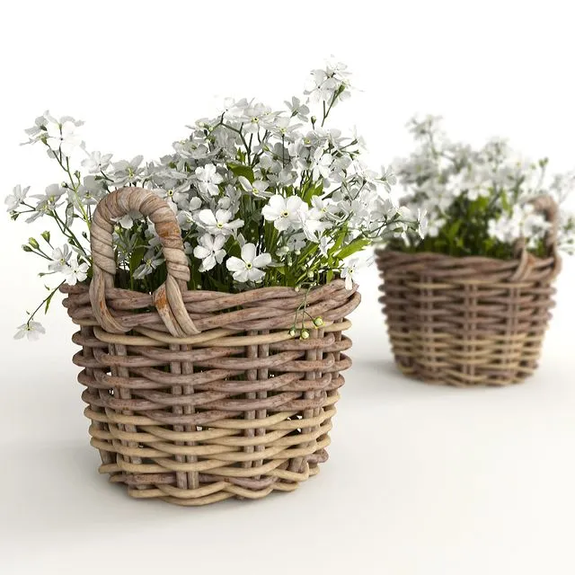 Flower baskets 3dsMax Model