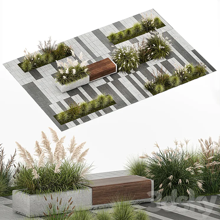 Flower bed with feather grass bushes Miscanthus Cortaderia and white pampas grass bench and bench paving slabs. 1147. 3DS Max