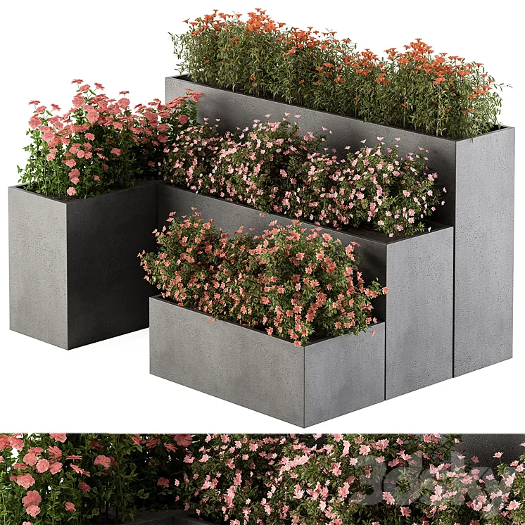 Flower Box – Outdoor Plants 436 3DS Max