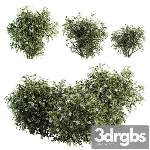 Flower bush – bush set 15