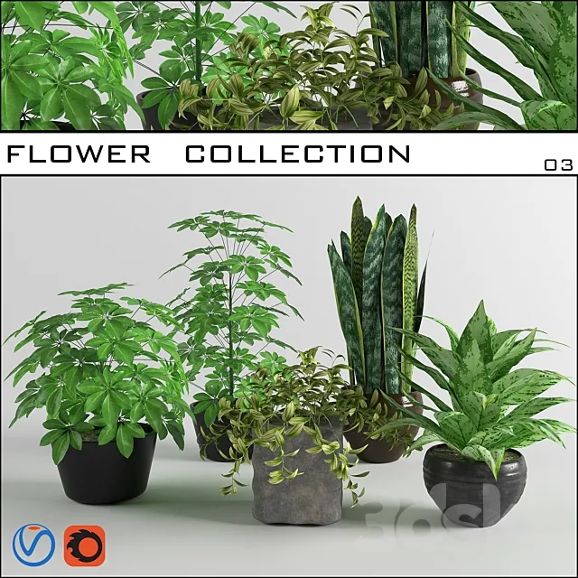 flower collection 03 3DSMax File