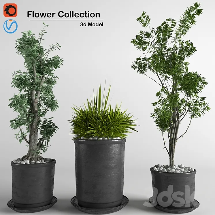 flower collection 3p 3DS Max