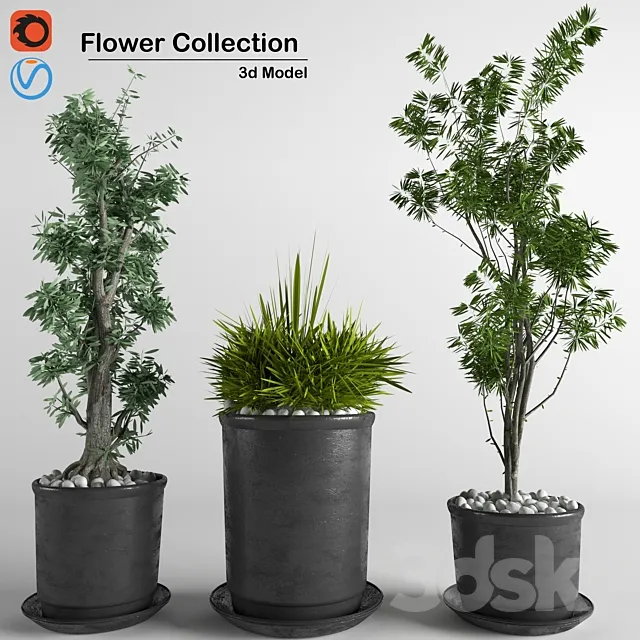 flower collection 3p 3DSMax File