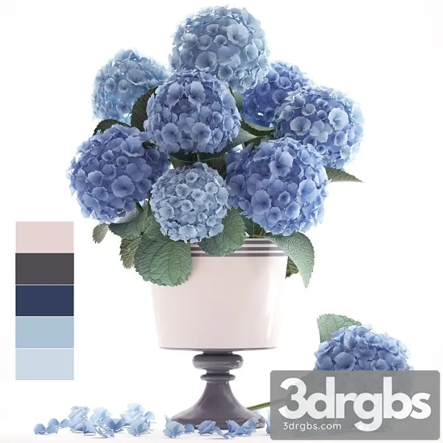 Flower Collection 56 Hydrangea Blue Flowers Flower Vase Branch 3dsmax Download