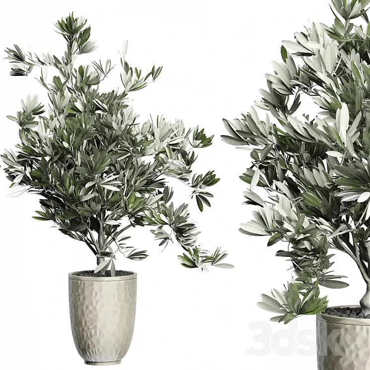 Flower Pack 123 – Olive Tree 3DS Max