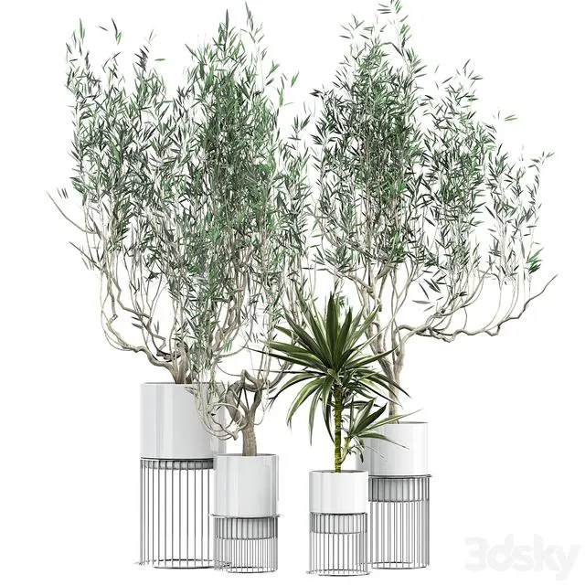 Flower Pack 164 3dsMax Model