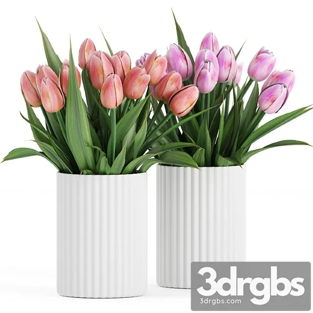 Flower Pack 250C Tulips 3dsmax Download