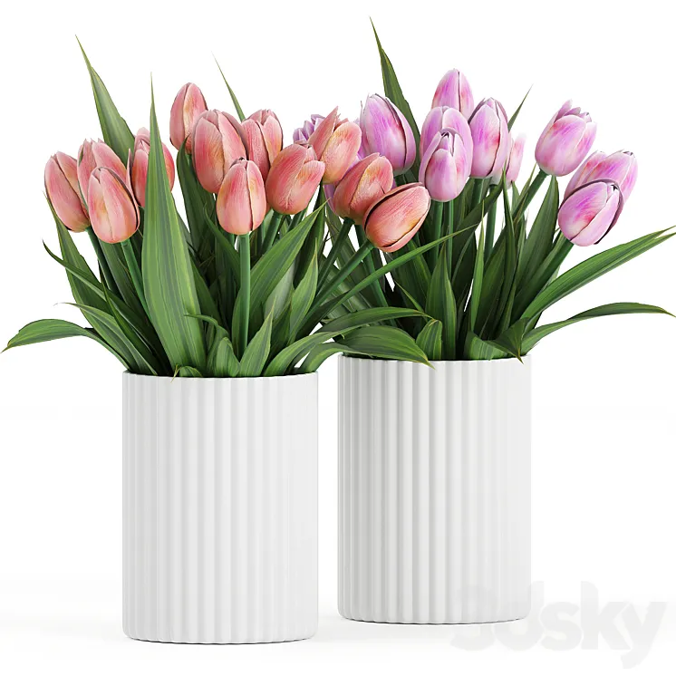 Flower Pack 250C Tulips 3DS Max