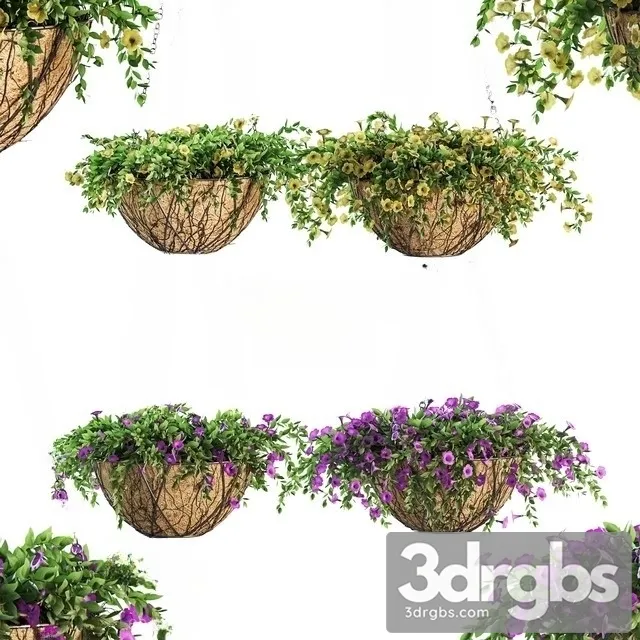 Flower Pot Chain Petunia 4 Models 3dsmax Download