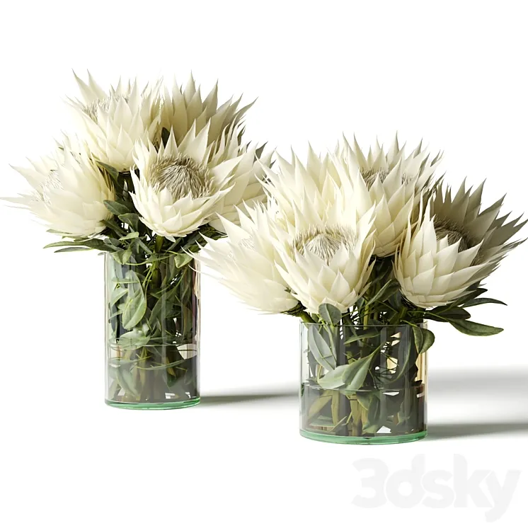 Flower Set white proteas 3DS Max