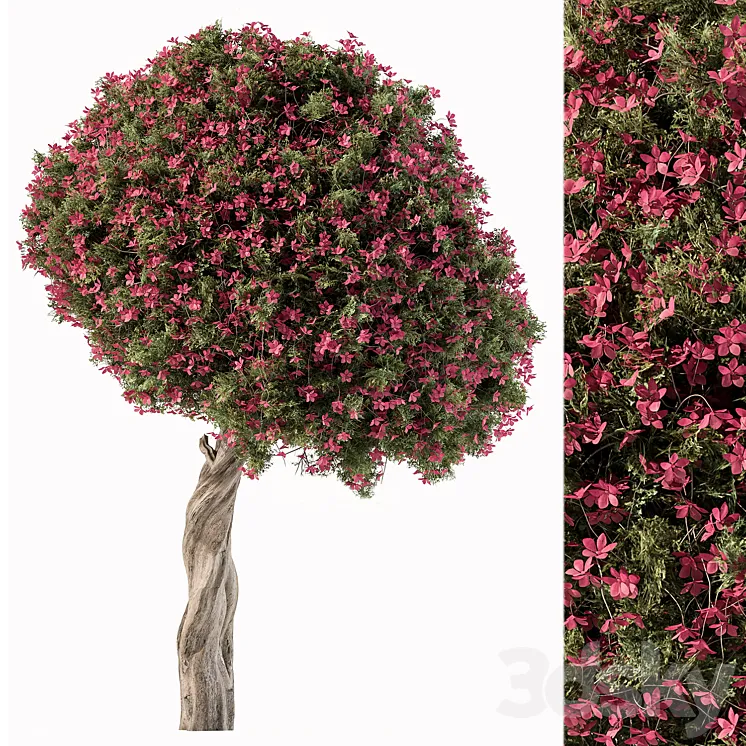 Flower Tree – Set 104 3DS Max
