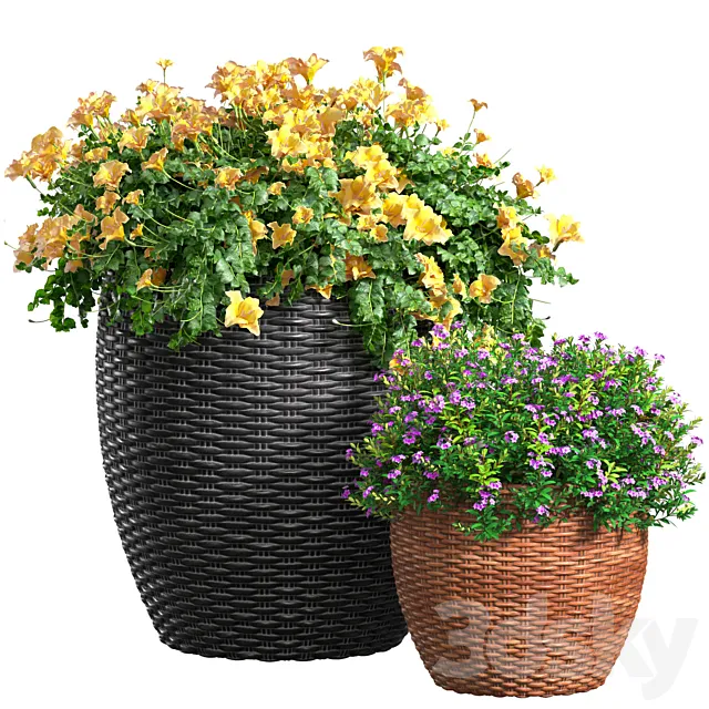 Flowerbed in a garden pot.Flowers Garden Plant Flowerpot Patio Balcony in Provence style 3ds Max