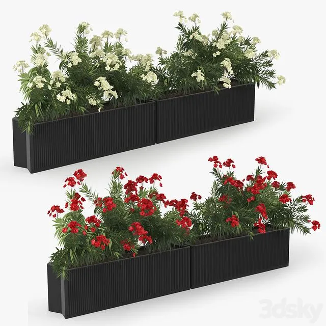 Flowerbed Nerium 3dsMax Model