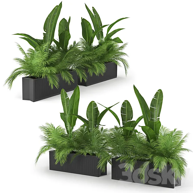 Flowerbed Palm Two 3DSMax File
