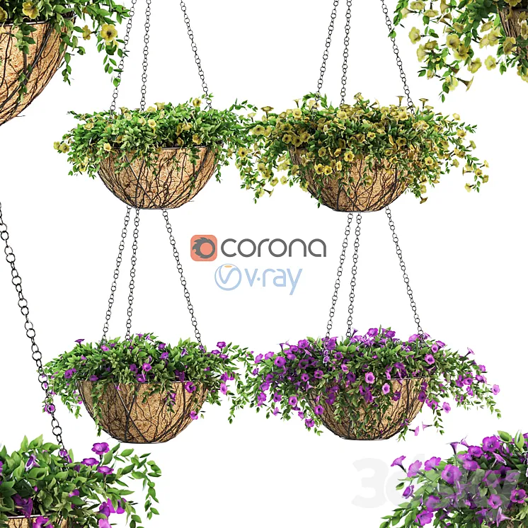 Flowers in a flower pot on a chain. Petunia. 4 models 3DS Max